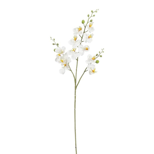 Visuel 1 du produit Fleur artificielle Phalaénopsis blanc - 75 cm