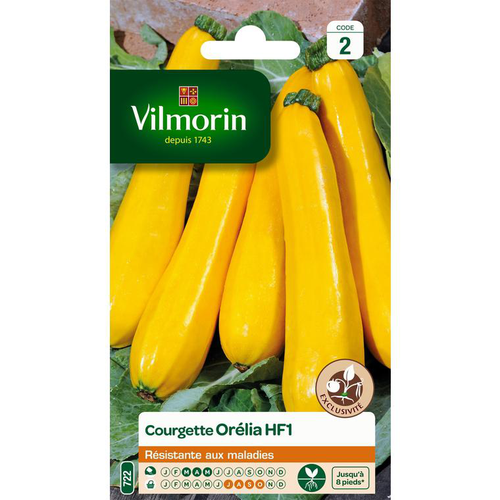 Visuel 1 du produit Graines de Courgette Orélia HF1 Vilmorin - graines à semer