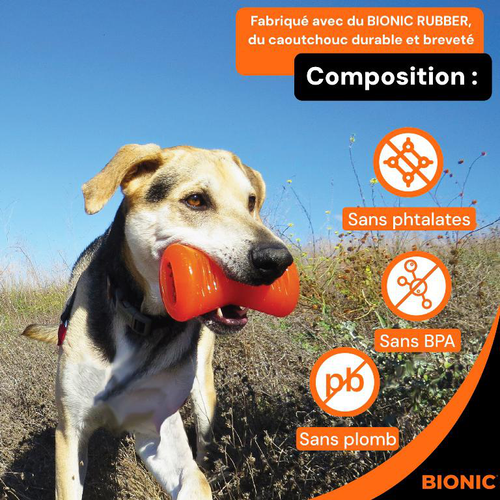 Visuel 3 du produit Jouet pour chien en caoutchouc coloris orange os Bionic - Taille L