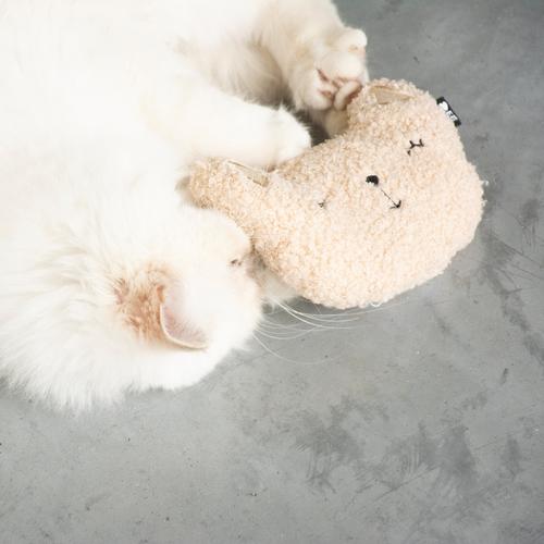 Visuel 3 du produit Jouet pour chat coloris écru coussin à remplissage d'herbes Happy Cat D&D Home Zara - 14 x 4 x 11 cm