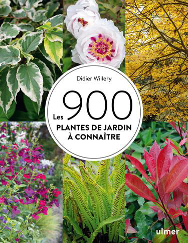 Visuel 1 du produit Livre Les 900 plantes de jardin à connaître aux Éditions Ulmer - 320 pages