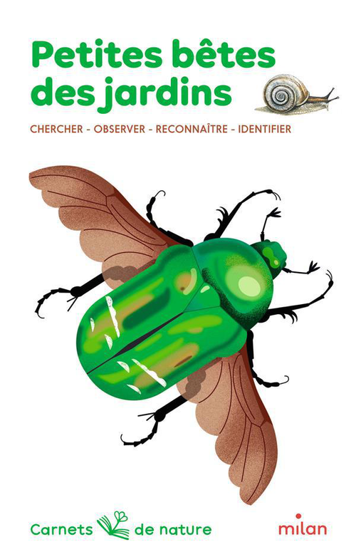 Visuel 1 du produit Livre "Petites bêtes des jardins" aux Éditions Milan collection Carnets de nature