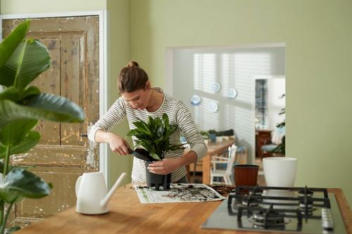 Visuel 4 du produit Self-watering insert d’arrosage automatique living noir Elho - 21 cm