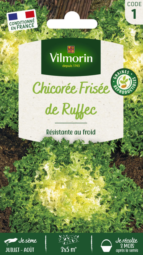 Visuel 1 du produit Chicorée de Ruffec Vilmorin - graines à semer