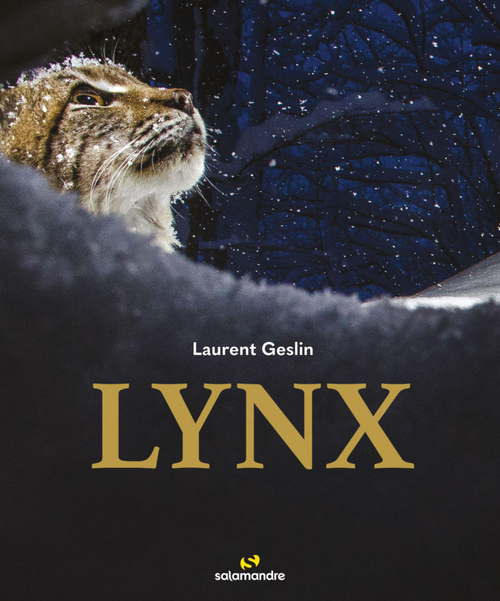 Visuel 1 du produit Livre "Lynx" Éditions Salamandre