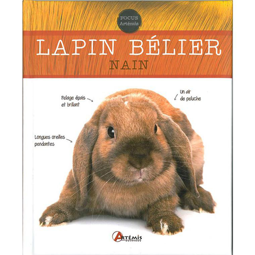 Visuel 1 du produit Livre "Lapin bélier nain" aux Éditions Focus Artemis