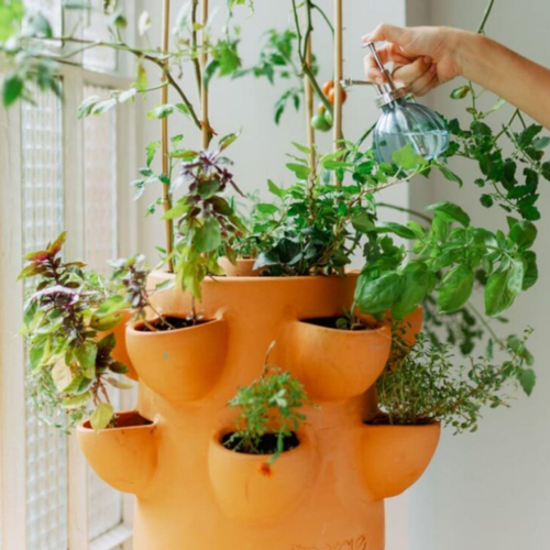 Visuel 5 du produit Potager autofertile 1 étage coloris marron en terre cuite terracotta Ceercle - 20 kg