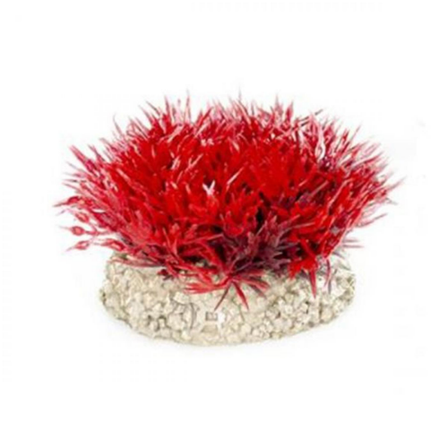 Visuel 1 du produit Plante artificielle crystalwort moss, rouge, AQUA DELLA, modèle S - 5cm