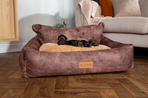 Visuel 10 du produit Corbeille pour chien marron Kensington Scruffs – Taille XL