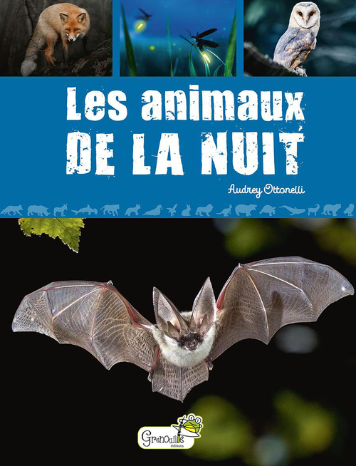 Visuel 1 du produit Livre "Les animaux de la nuit" Artemis