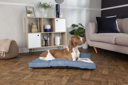 Visuel 7 du produit Coussin pour chien bleu Manhattan Scruffs - Taille M