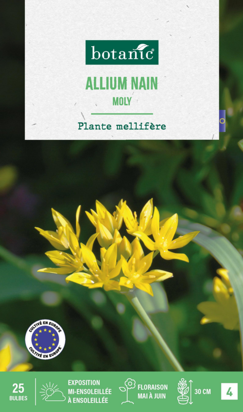 Visuel 1 du produit Allium moly botanic® - 25 bulbes