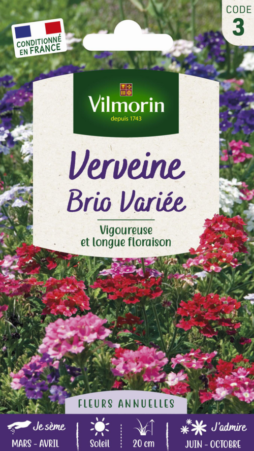 Visuel 1 du produit Graines de Verveine Brio variée Vilmorin - graines à semer