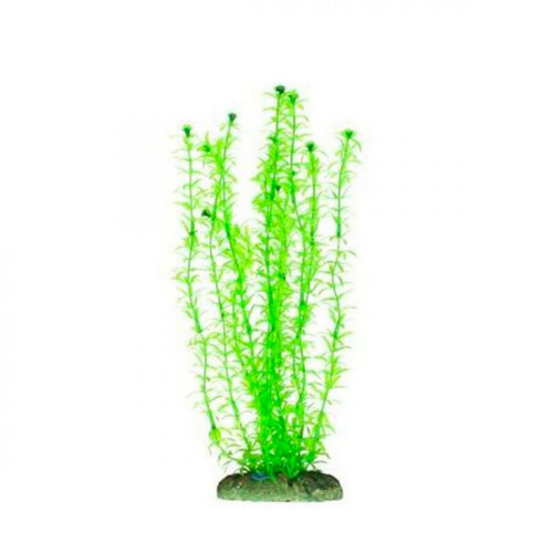 Visuel 1 du produit Plante artificielle d'aquarium - élodée, AQUA NOVA - 30 cm