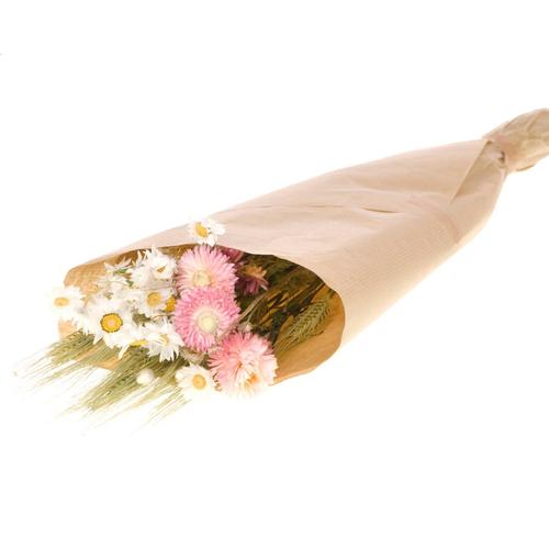 Visuel 1 du produit Bouquet de fleurs séchées mix blancose taille S - Ø 13 x H 50 cm