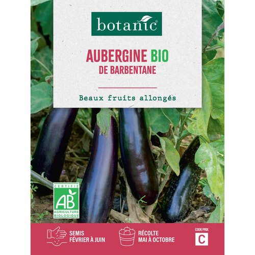 Visuel 1 du produit Graines d’Aubergine de Barbentane bio botanic® - graines à semer