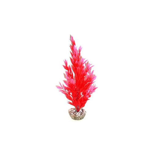 Visuel 1 du produit Cycared rose en plastique 28 cm
