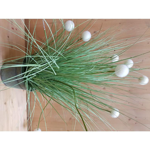 Visuel 1 du produit Graminée artificielle 48 pompons Ø 32,5 x H 165 cm
