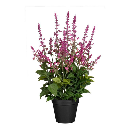Visuel 1 du produit Sauge artificielle rose fuchsia en pot - Ø 26 x H 49 cm