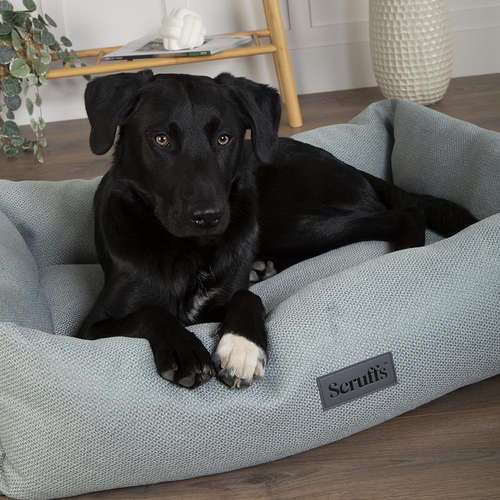 Visuel 7 du produit Couchage pour chien coloris vert corbeille Scruffs Ellen - Taille M 60 x 50 x 16 cm