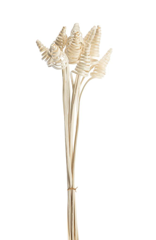 Visuel 1 du produit Lot de 10 cônes de canne naturel artificielles coloris beige - 45 à 55 cm