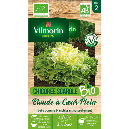 Visuel 1 du produit Graines de chicorée scarole blonde à cœur Vilmorin - graines à semer