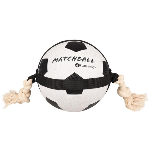 Visuel 1 du produit Balle de jeu pour chien motif foot Actionball Flamingo - Ø 19 cm