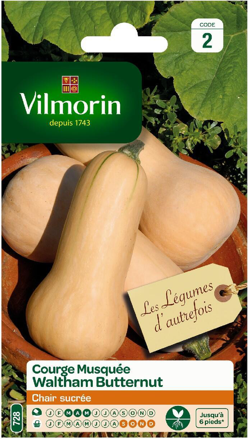 Visuel 1 du produit Courge Musquée Waltham Butternut Vilmorin - graines à semer