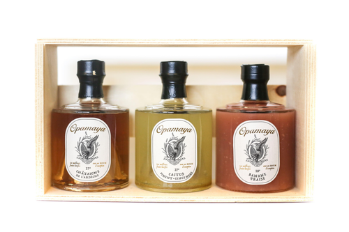 Visuel 2 du produit Rhum arrangé cactus piment gingembre Opamaya - 25 cl