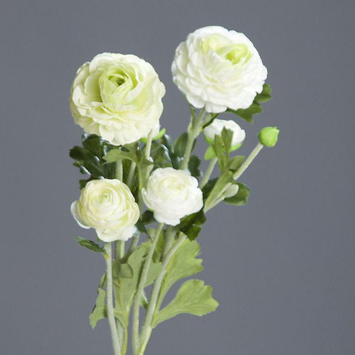 Visuel 1 du produit Fleur artificielle renoncule blanche x 3 avec feuillage vert – 62 cm