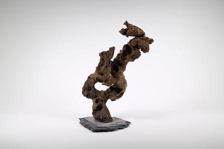 Visuel 1 du produit Décoration pour aquarium Aquadeco Congo Tree grand modèle - 35 cm