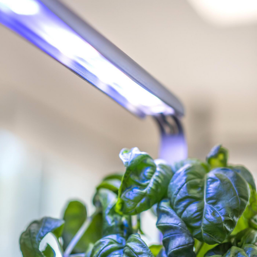 Visuel 4 du produit Potager coloris graphite Gourmet Indoor Véritable - 2 étages