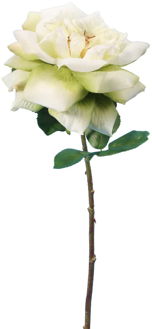 Visuel 1 du produit Rose ancienne artificielle coloris blanc - 45 cm