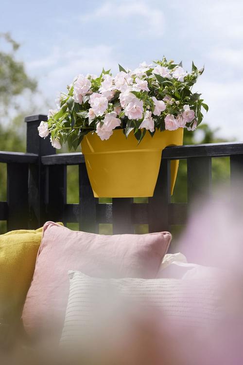 Visuel 6 du produit Jardinière flower bridge en plastique recyclé coloris jaune miel Elho Vibia Campana - 22 x 26 x 39 cm