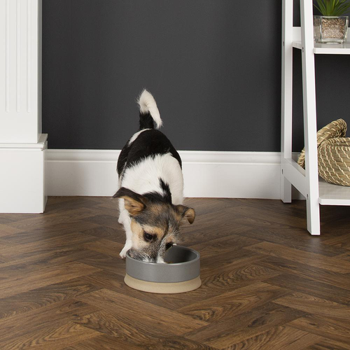 Visuel 3 du produit Gamelle pour chien et chat coloris gris en grès Scruffs Scandi – 16 x 16 x 5 cm