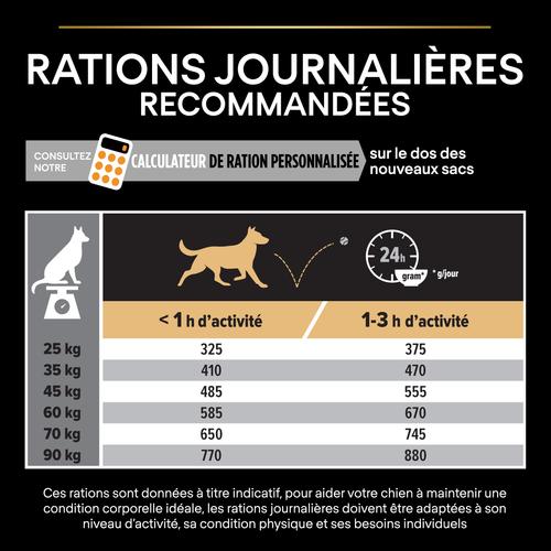 Visuel 3 du produit Croquettes pour chien Pro Plan Dog Large Adult Robust - 16,5 kg
