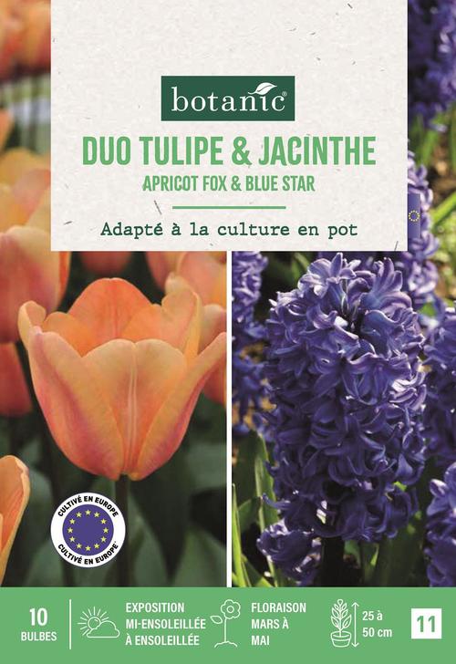Visuel 1 du produit Melange tulipe & jacinthe X10