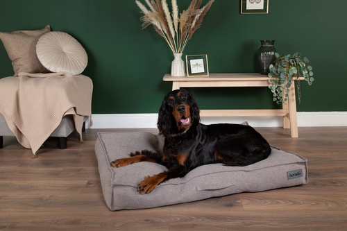 Visuel 3 du produit Couchage pour chien coloris gris coussin Scruffs Seattle - Taille M 80 x 60 x 14 cm