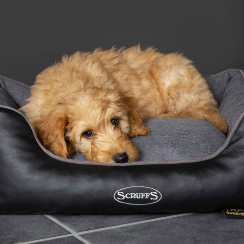 Visuel 5 du produit Corbeille à mémoire de forme pour chien gris Hilton Scruffs – Taille S