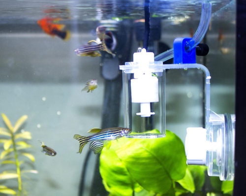 Visuel 1 du produit Osmolateur pour aquarium coloris transparent Aquavie Nano Micro Level Sensor v2