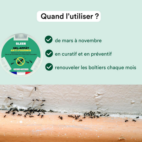 Visuel 6 du produit Gel appât anti-fourmis effet radical en 48h Bleen - 6 boîtes