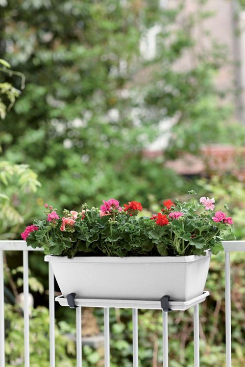 Visuel 2 du produit Soucoupe de balconnière blanche Elho Barcelona - 70 x 20 cm