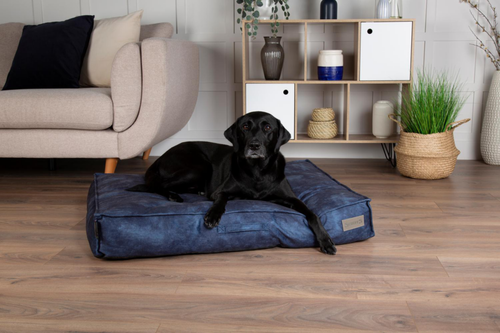 Visuel 8 du produit Coussin pour chien bleu Kensington – Taille M