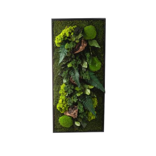 Visuel 1 du produit Cadre stabilisé canopée Naturalys rectangle L - 40 x 90 cm