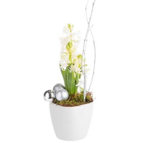 Visuel 1 du produit Composition de Noël jacinthe multicolore en céramique blanc