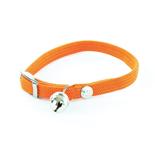 Visuel 1 du produit Collier élastique pour chat orange