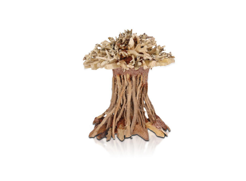 Visuel 1 du produit Décor pour aquarium coloris marron Aquavie Three Forêt SPM - 13 x 13 x 9 cm