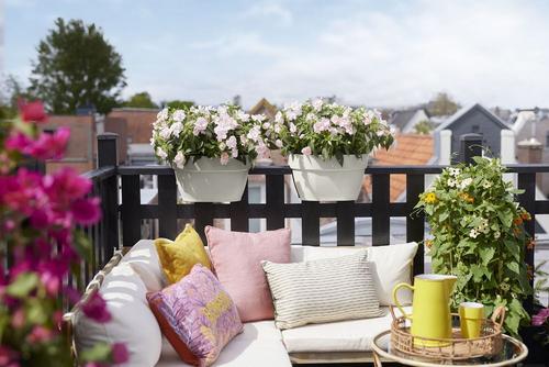 Visuel 7 du produit Jardinière flower bridge en plastique recyclé coloris blanc soie Elho Vibia Campana - 22 x 26 x 39 cm