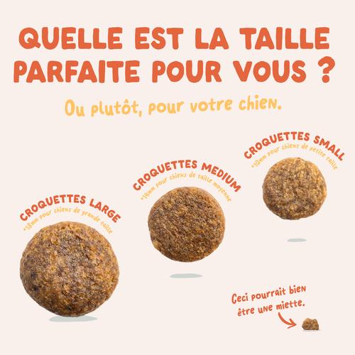 Visuel 6 du produit Croquettes pour chien adulte au poulet sans céréales Edgard & Cooper - 2,5 kg