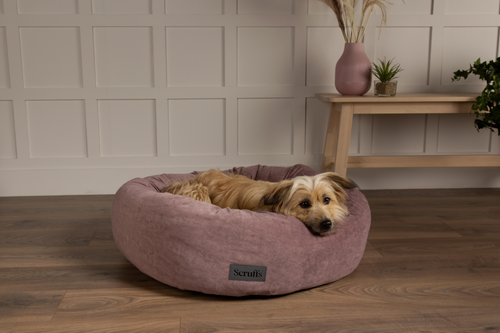 Visuel 5 du produit Corbeille pour chien coloris rose Scruffs Oslo Donut – Taille L